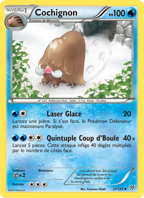 Cochignon #27