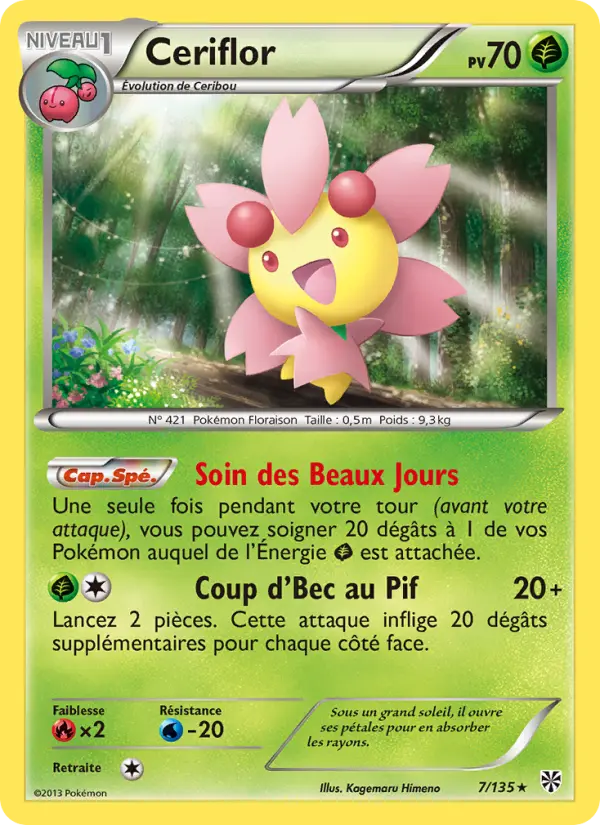 Ceriflor #7
