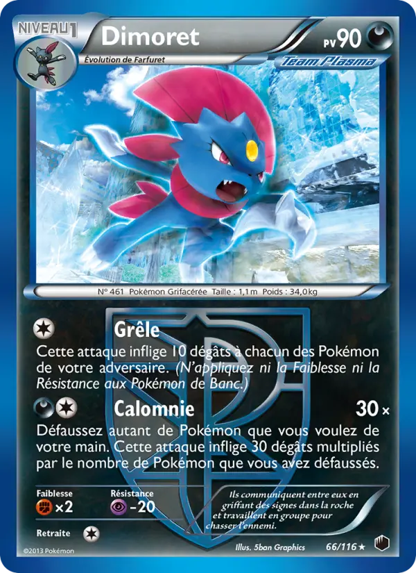 Dimoret #66