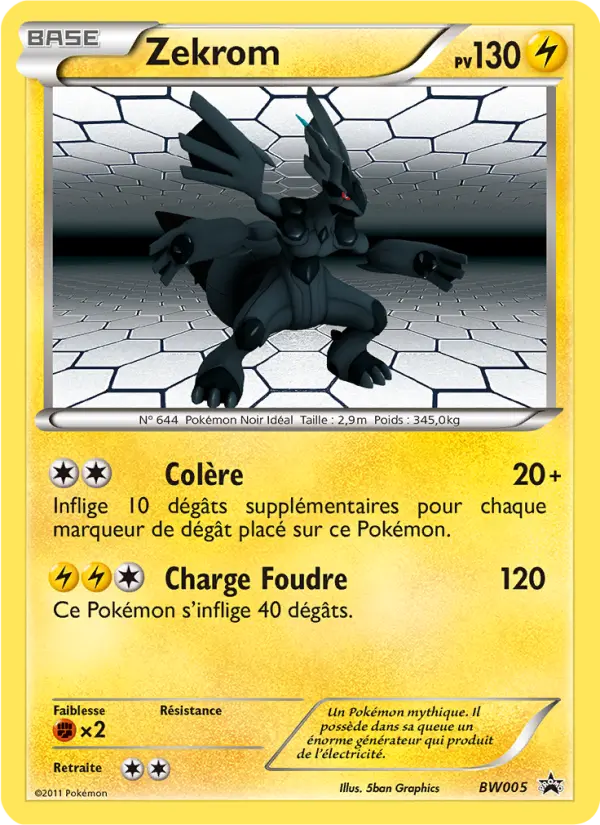 Zekrom #05