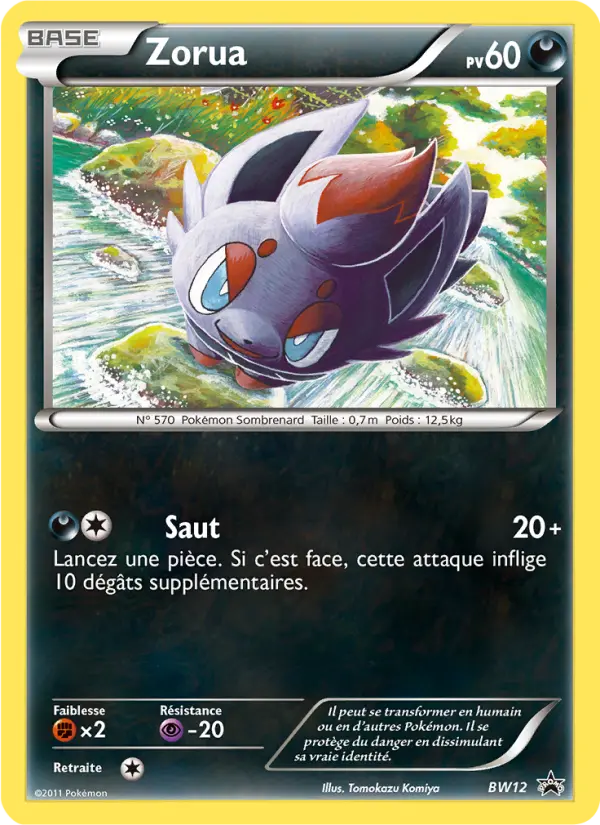 Zorua #12