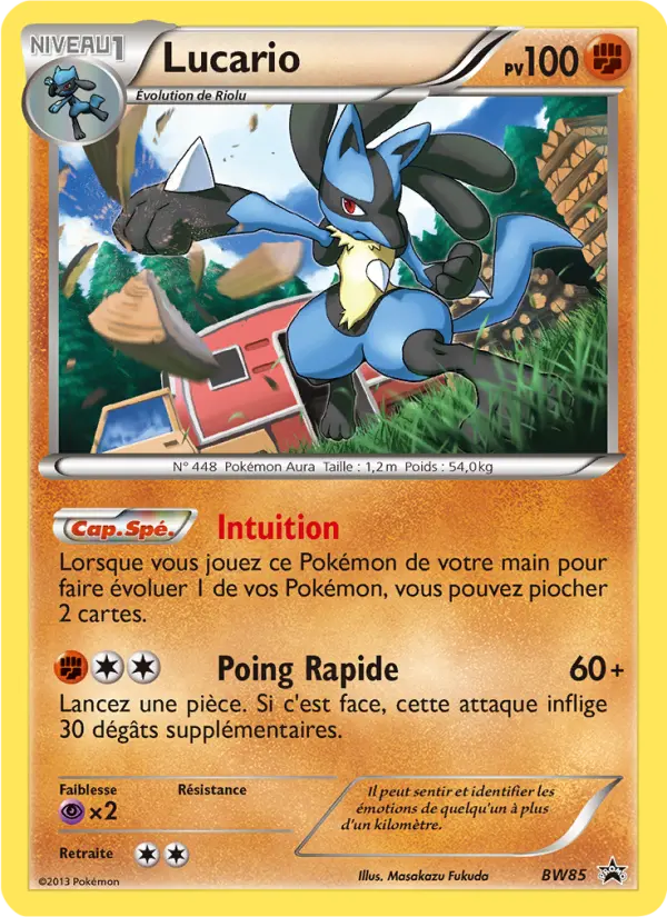 Lucario #85