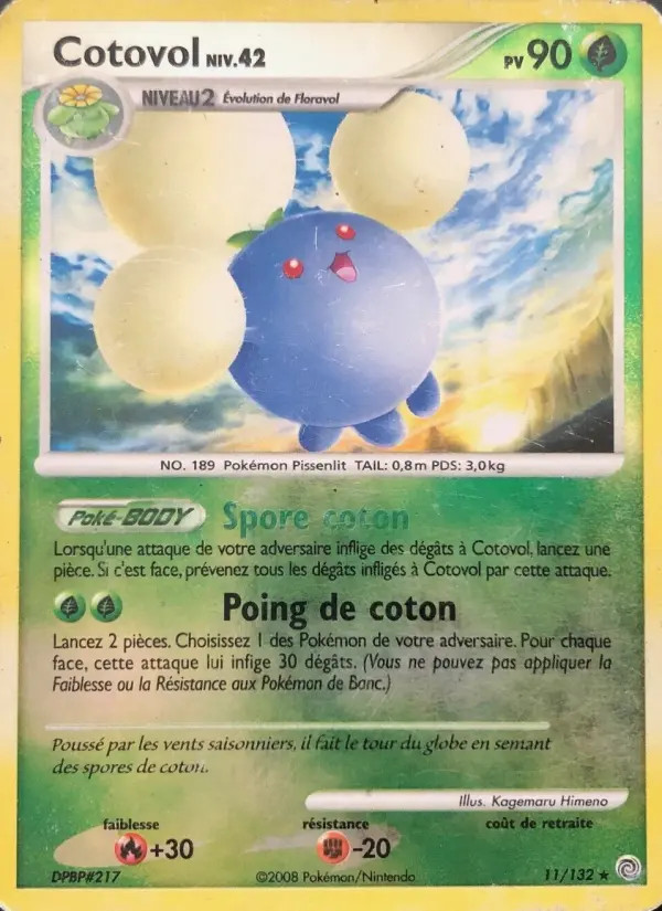 Cotovol #11