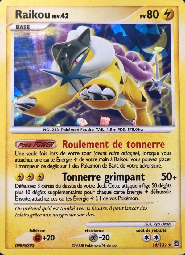 Raikou #16