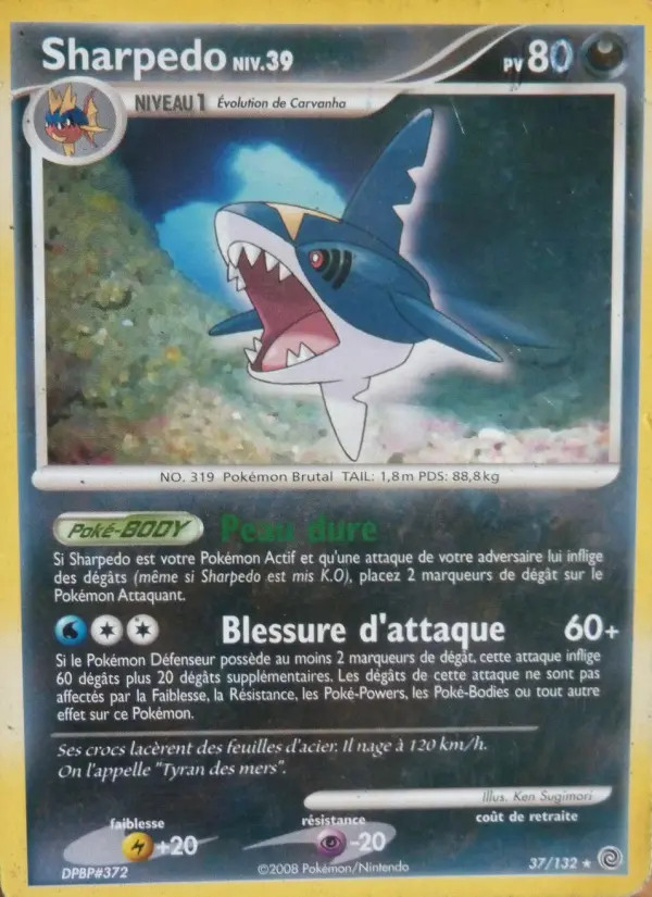 Sharpedo #37