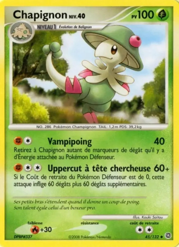 Chapignon #45