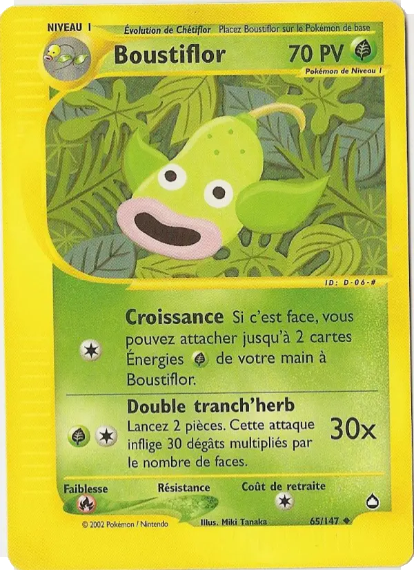 Boustiflor #65