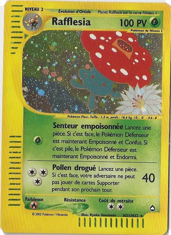 Rafflesia #H31