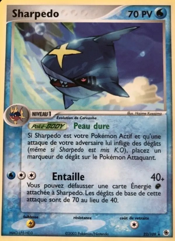 Sharpedo #22