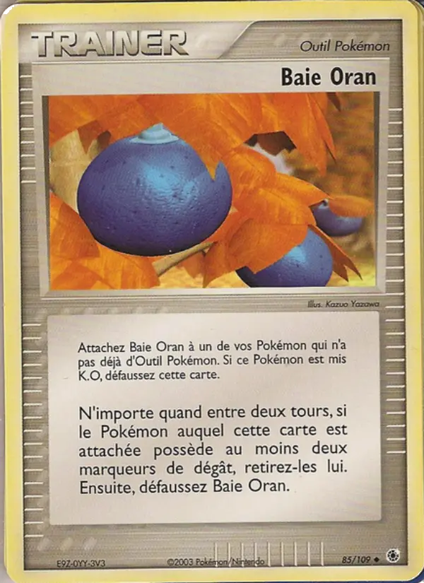 Baie Oran #85