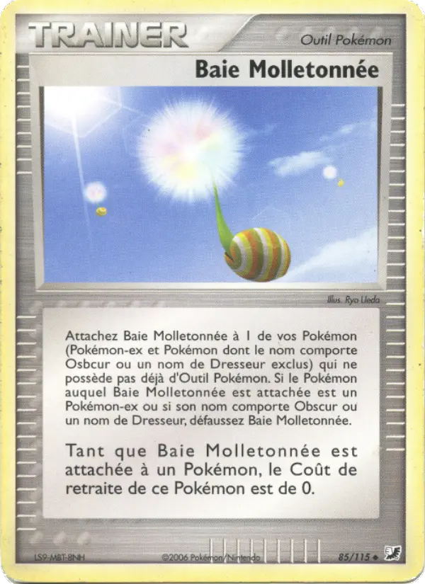 Baie Molletonnée #85