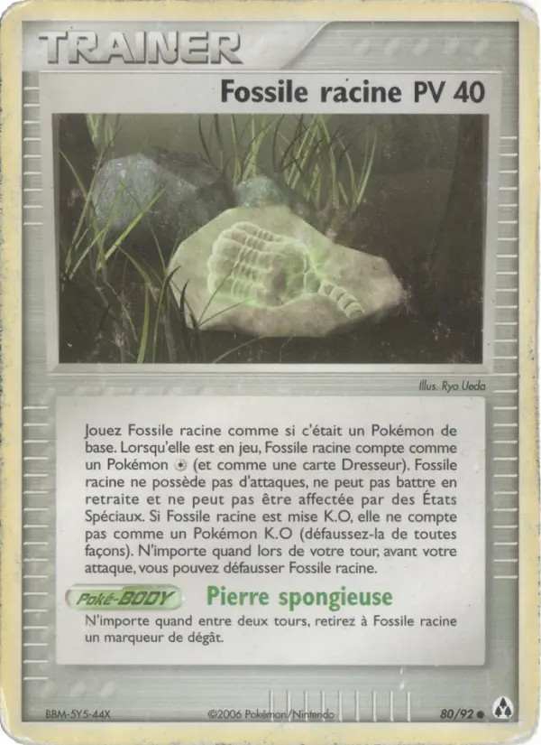 Fossile racine #80