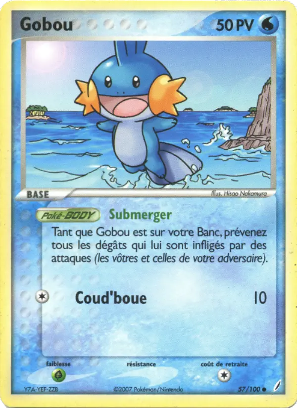 Mudkip #57