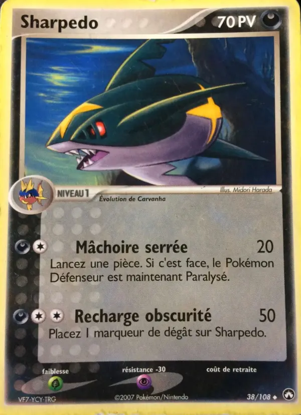 Sharpedo #38