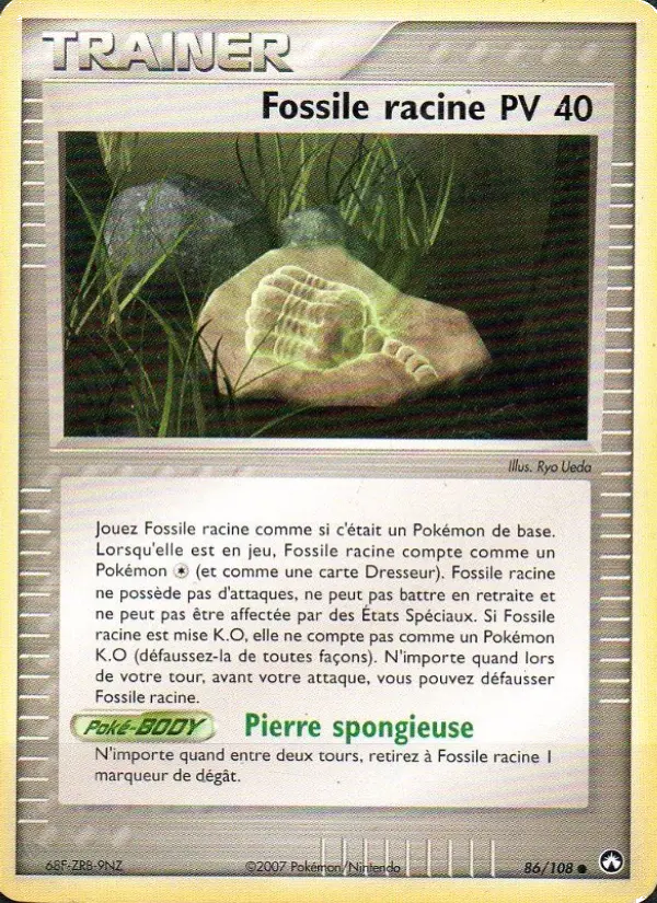 Fossile racine #86