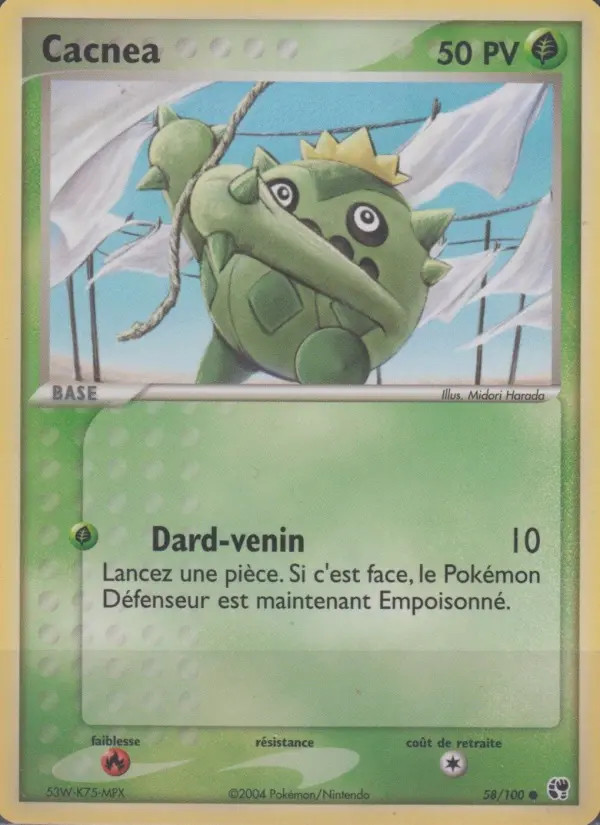 Cacnea #58