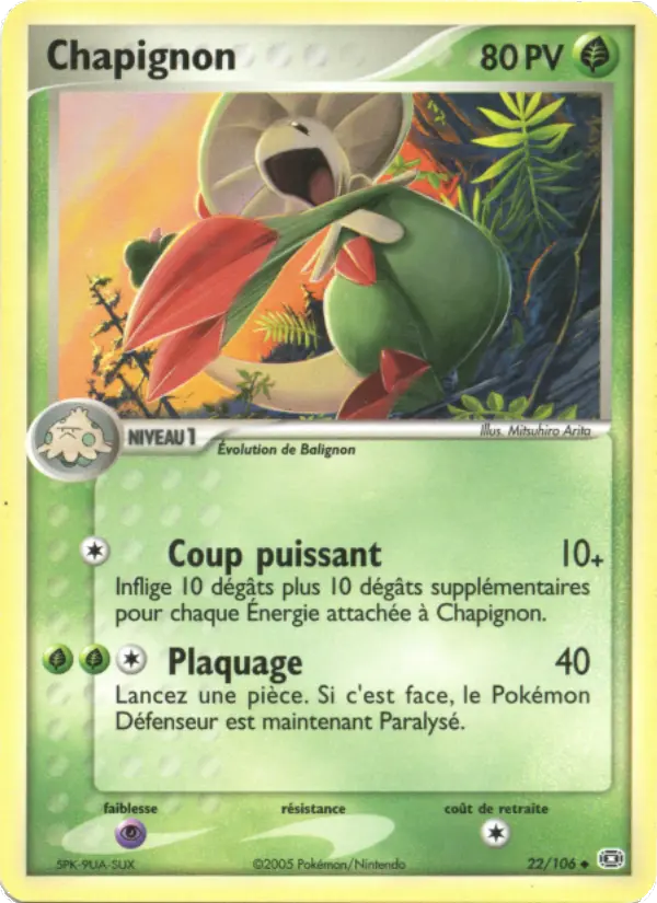 Chapignon #22