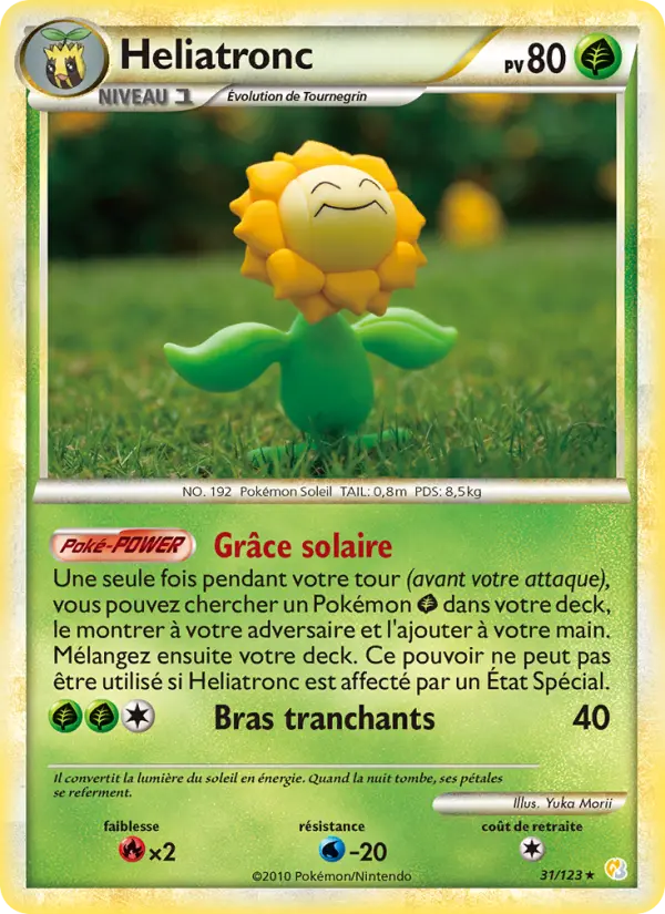 Héliatronc #31