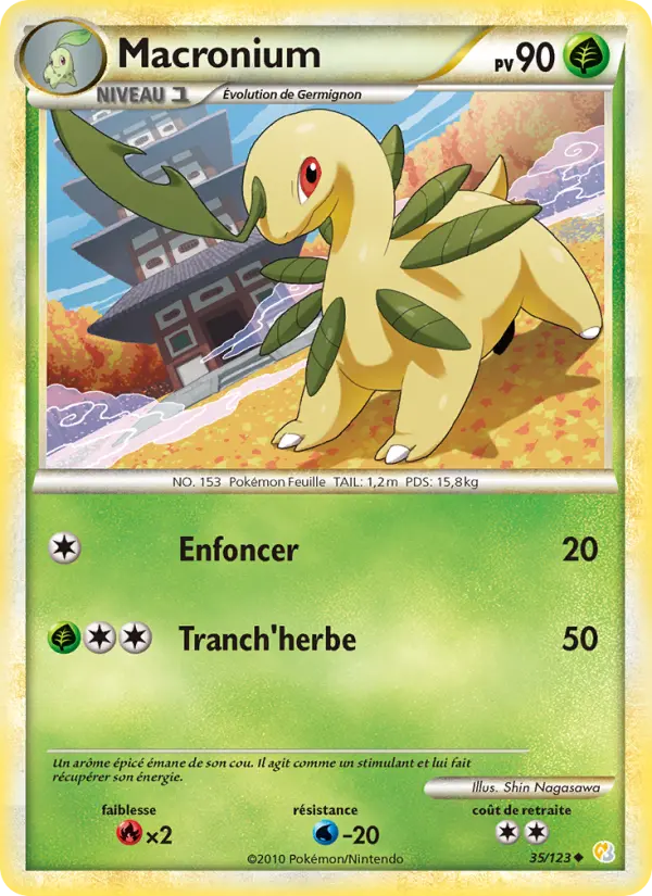 Macronium #35 — HeartGold SoulSilver