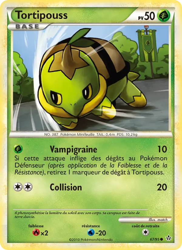 Turtwig #67