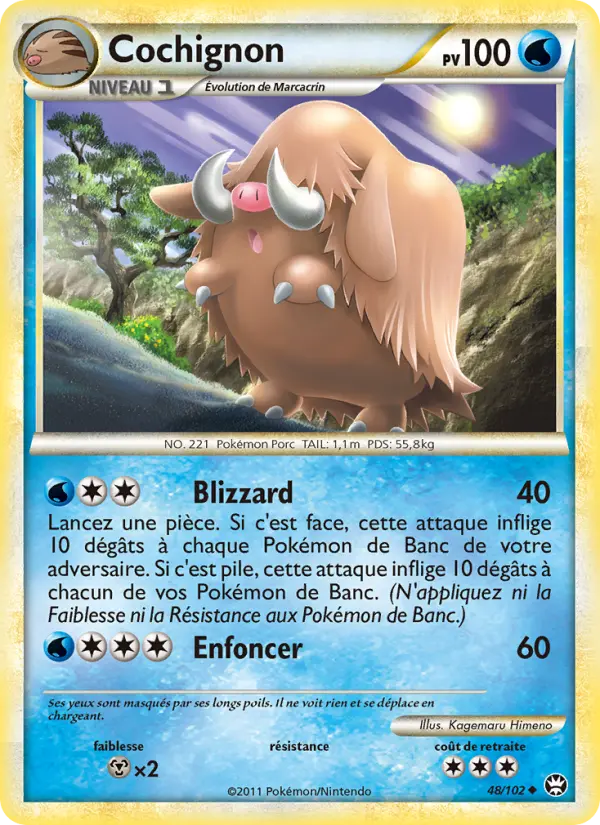Cochignon #48