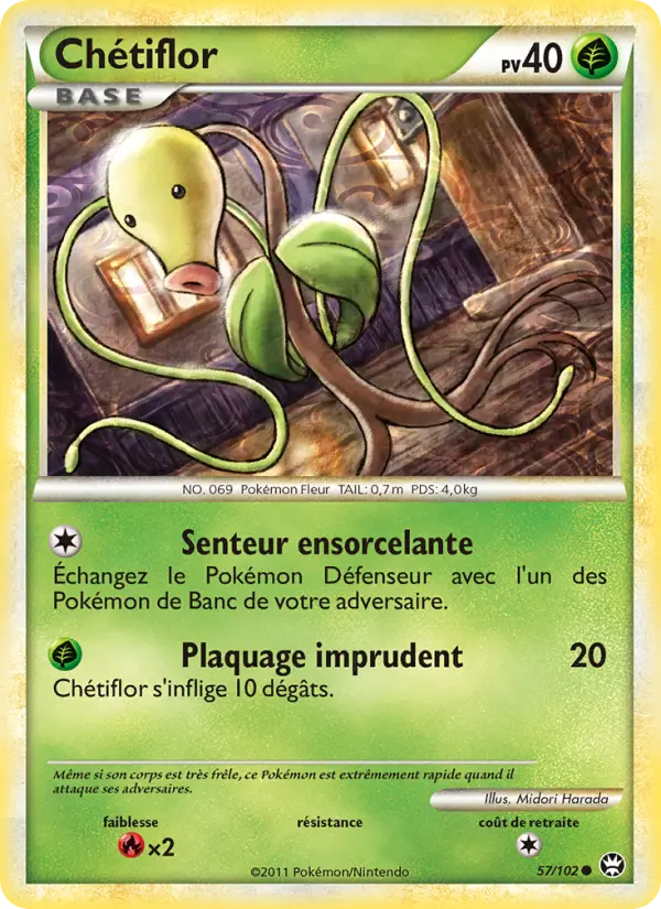 Chetiflor #57