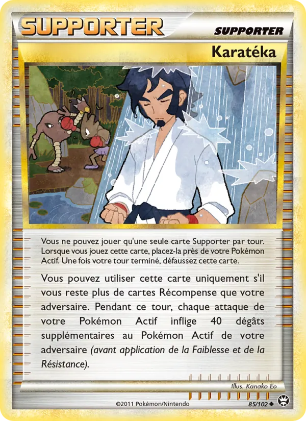 Karatéka #85