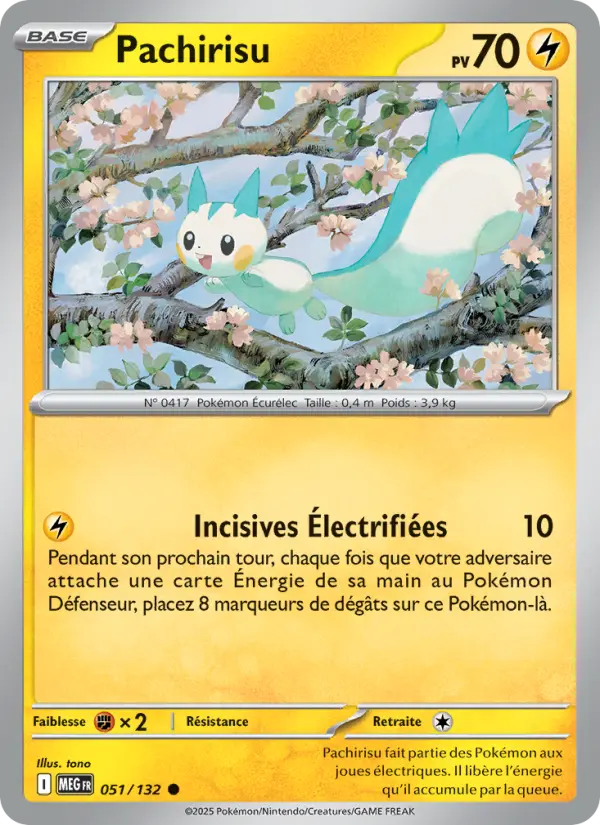 Pachirisu #051