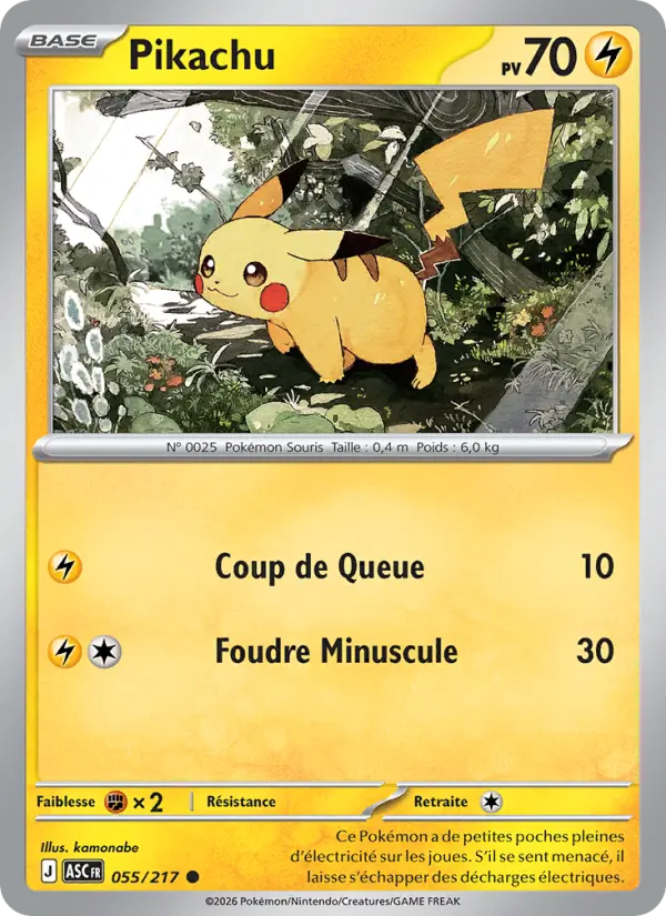 Pikachu #055