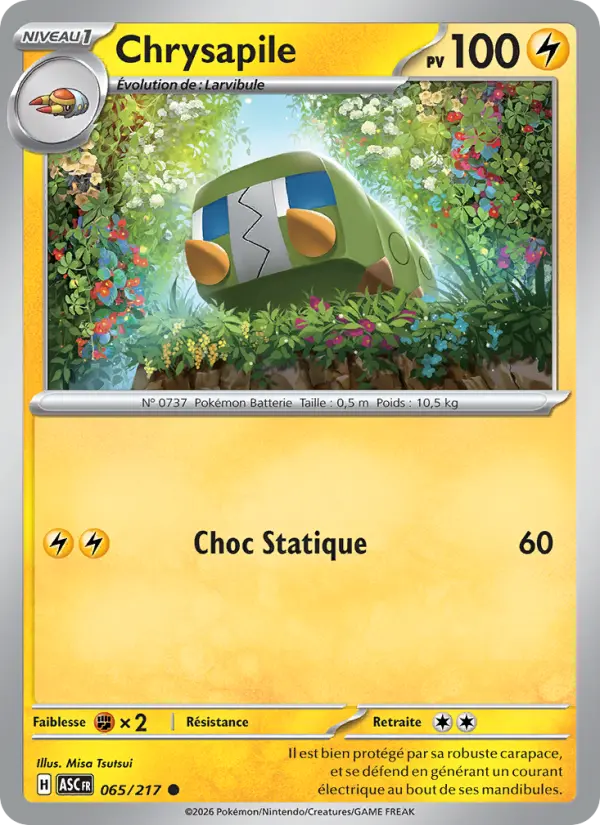 Chrysapile #065