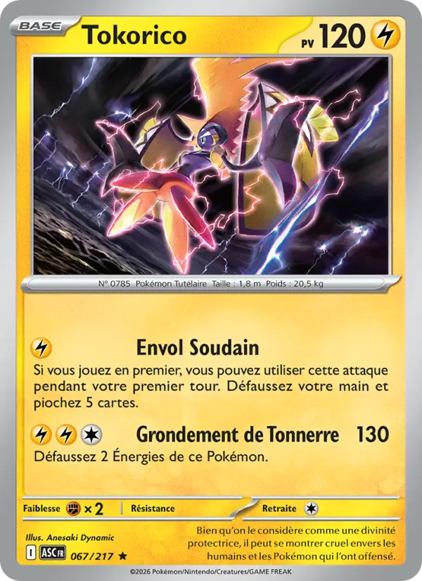 Tokorico #067