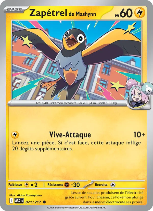 Zapétrel de Mashynn #071