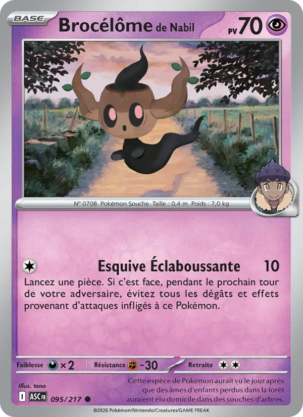 Brocélôme de Nabil #095
