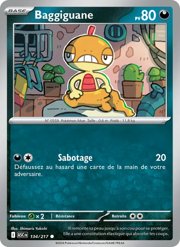 Baggiguane #134