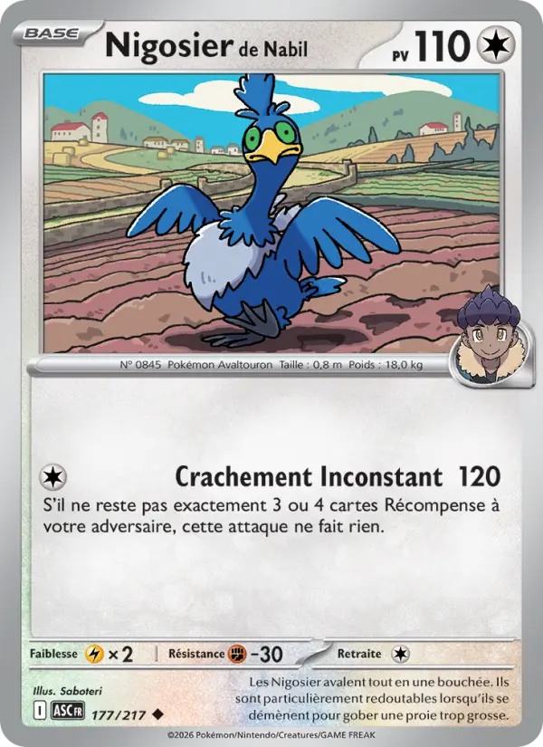Nigosier de Nabil #177