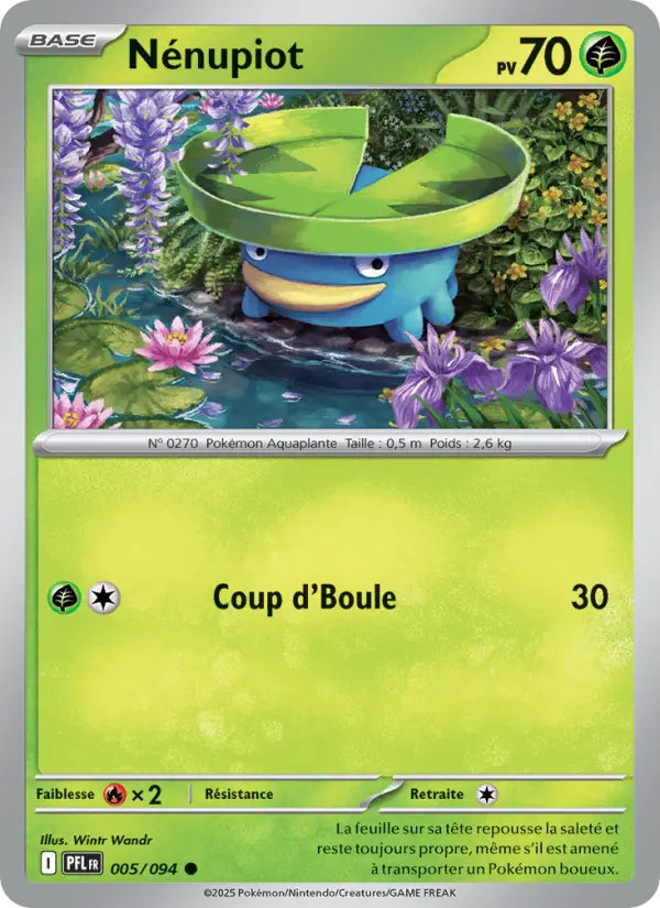 Lotad #005