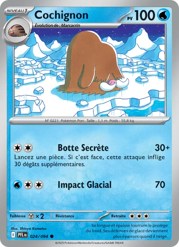 Cochignon #024