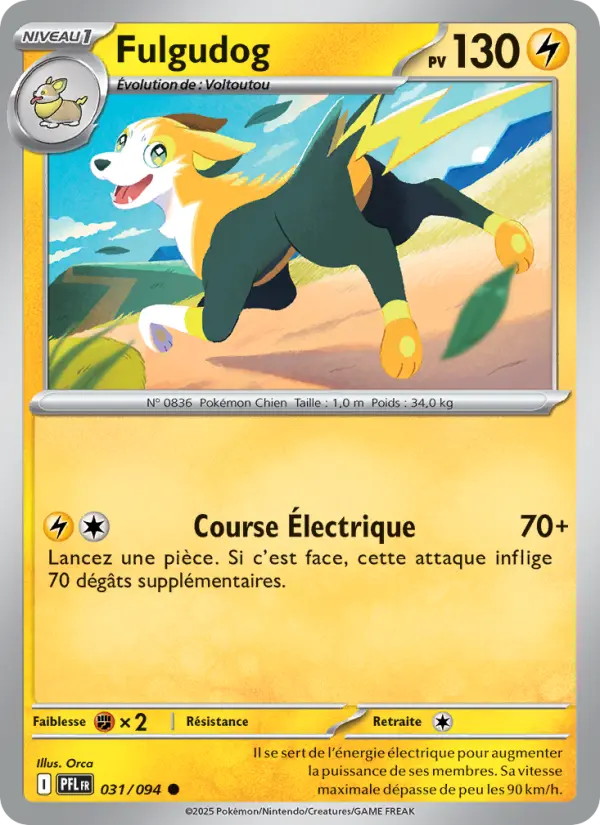 Fulgudog #031