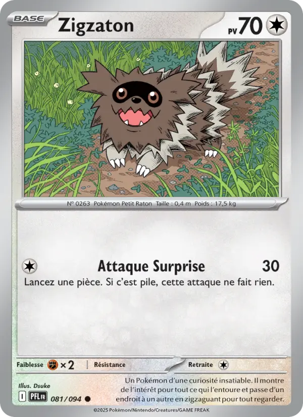 Zigzagoon #081