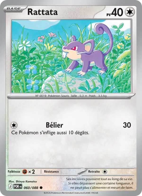 Rattata #060