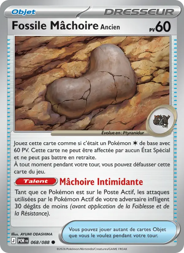 Fossile Mâchoire Ancien #068 — Équilibre Parfait