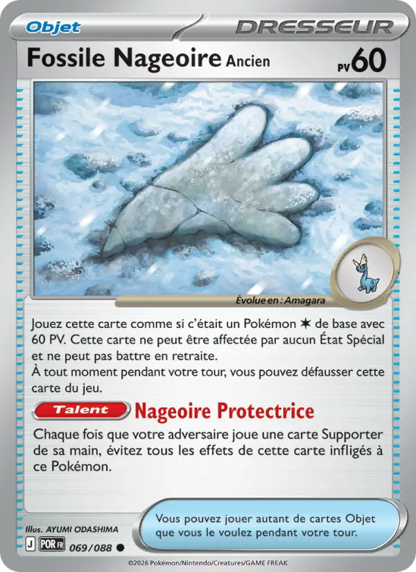 Fossile Nageoire Ancien #069 — Équilibre Parfait