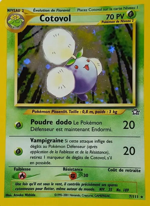 Cotovol #7