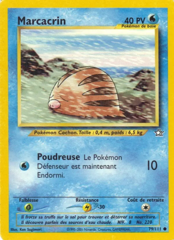 Swinub #79