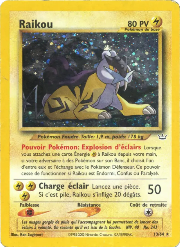 Raikou #13