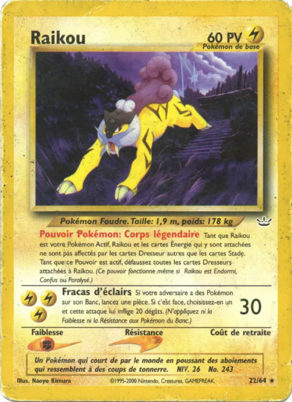 Raikou #22