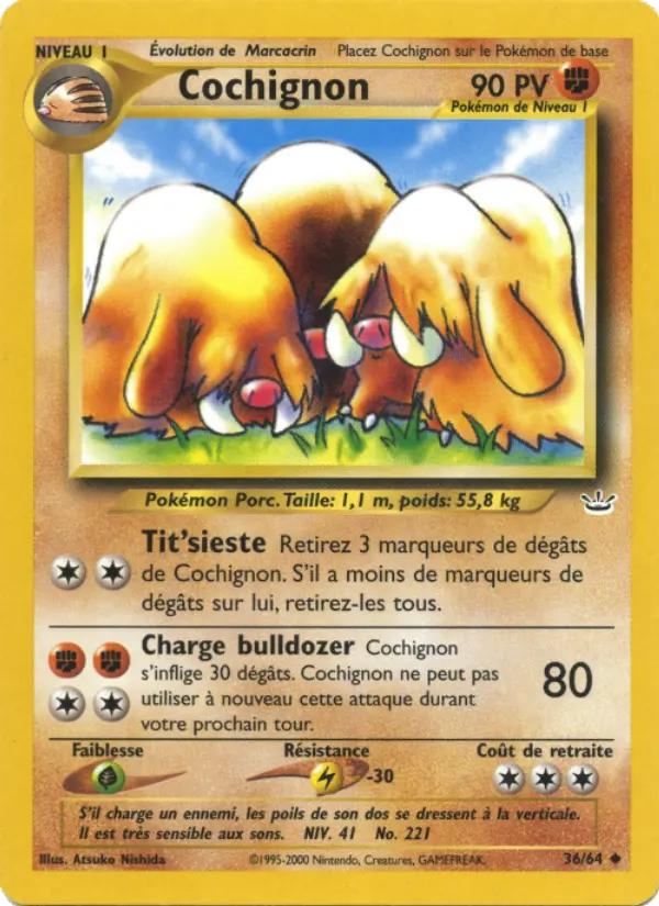 Cochignon #36