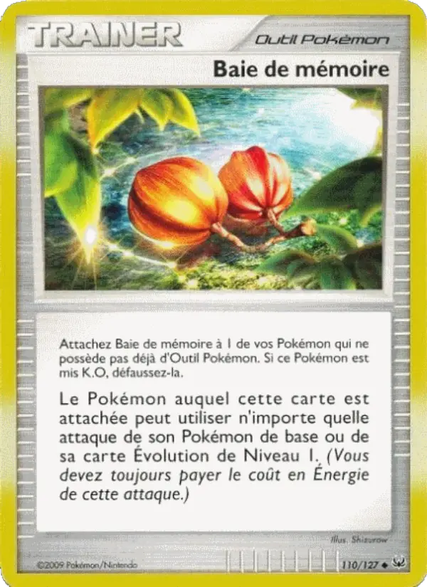 Baie de mémoire #110