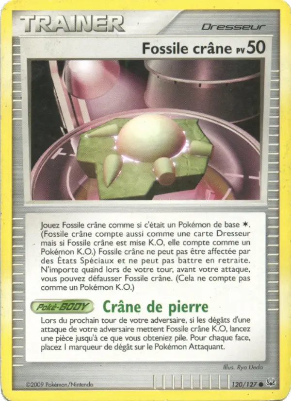 Fossile crâne #120