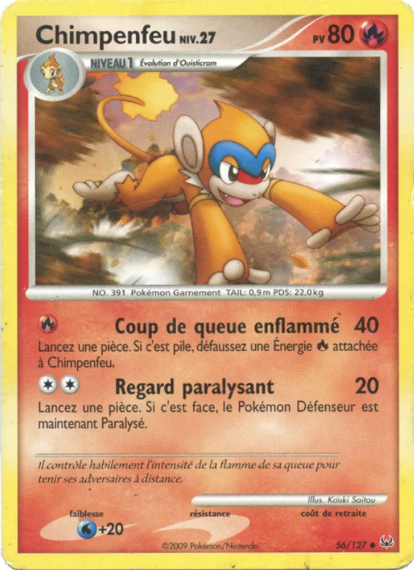 Chimpenfeu #56